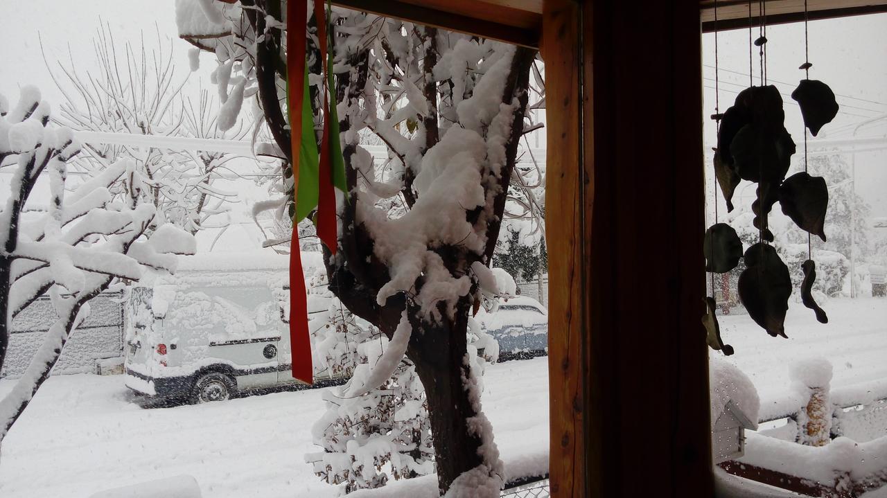 Carpe Diem San Martín de los Andes Dış mekan fotoğraf
