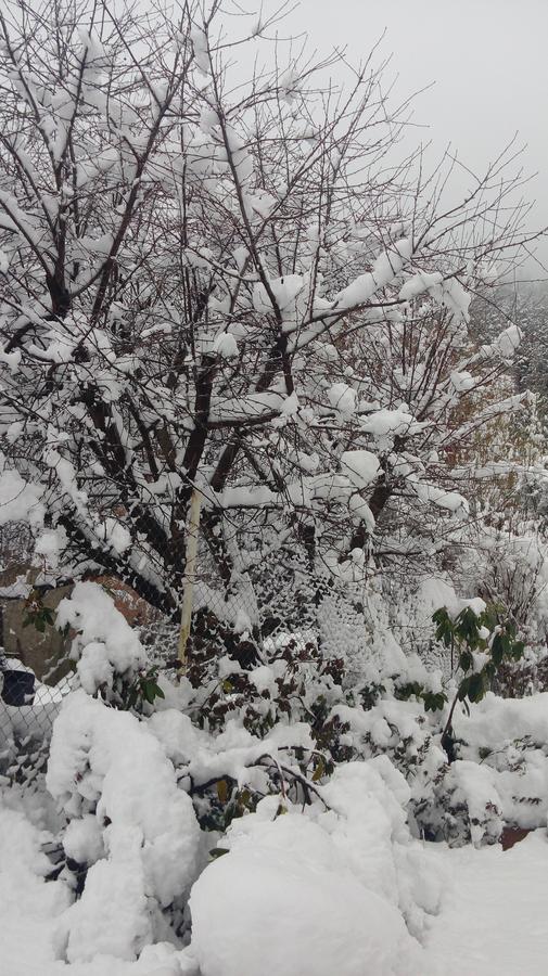 Carpe Diem San Martín de los Andes Dış mekan fotoğraf